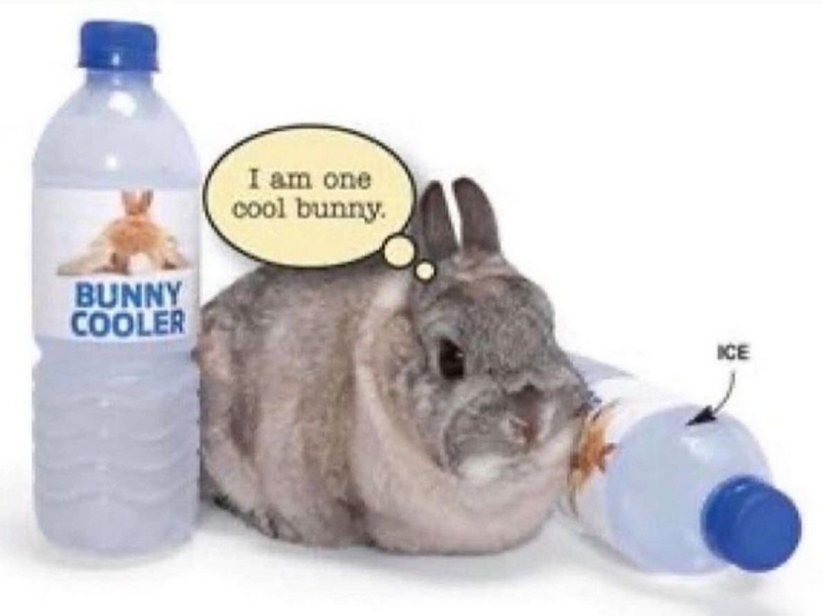 แ
โ ๐ผ๐ต๐ซ๐ฌ๐น๐ซ๐ถ๐ฎ .แ โ tweet media