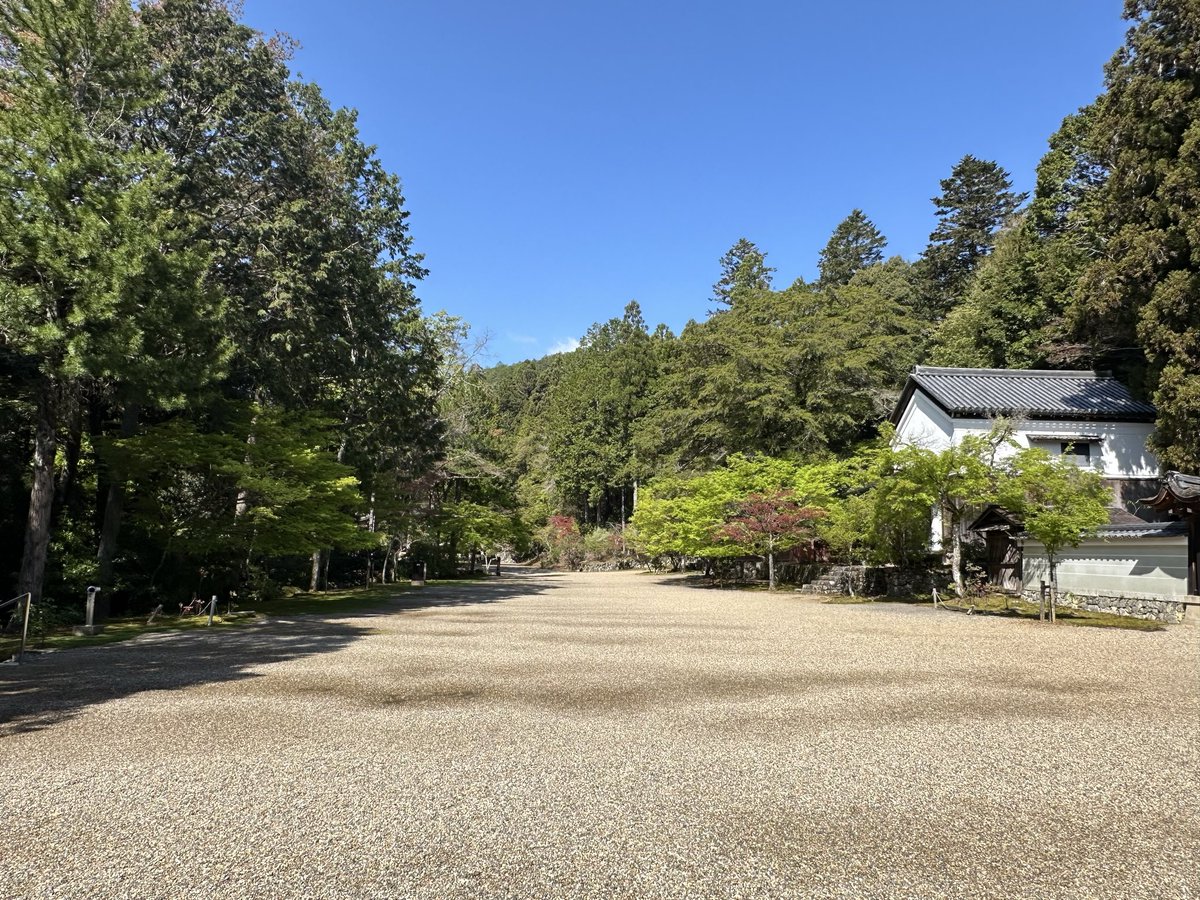 takao_jingoji's tweet image. 新緑の季節となりました♪ #japan  #kyoto  #takao  #jingoji  #京都 #高雄 #神護寺 #新緑 #石楠花 #季節 #綺麗