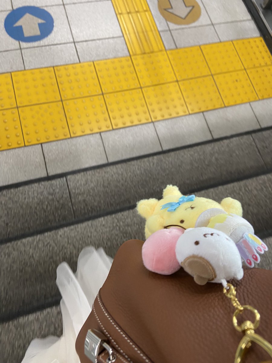 おふとん🍮ぷりんくん tweet media