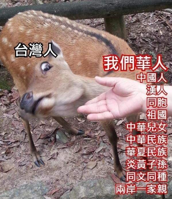 a-tiong-á 🪷 tweet media