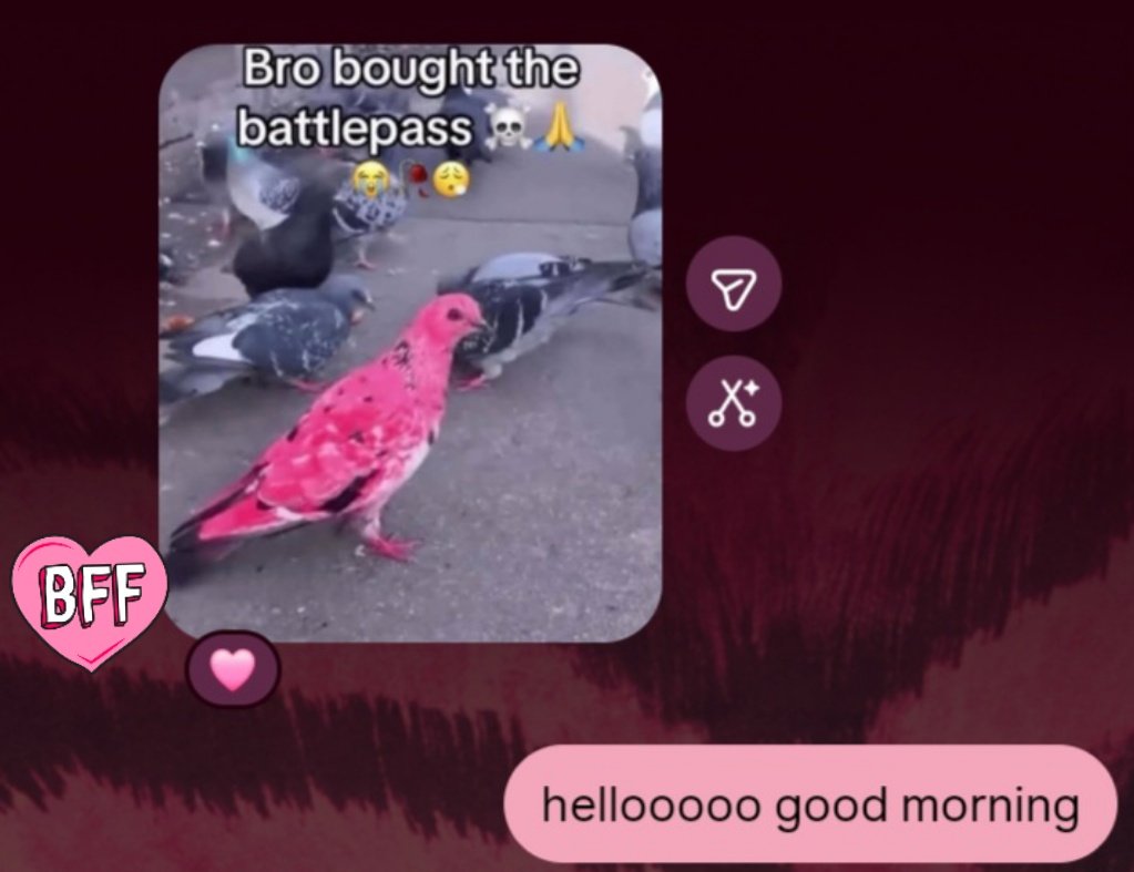 lizequi's tweet photo. bestie sending random pics every morning like it’s a ritual https://t.co/DE04cBtbZs