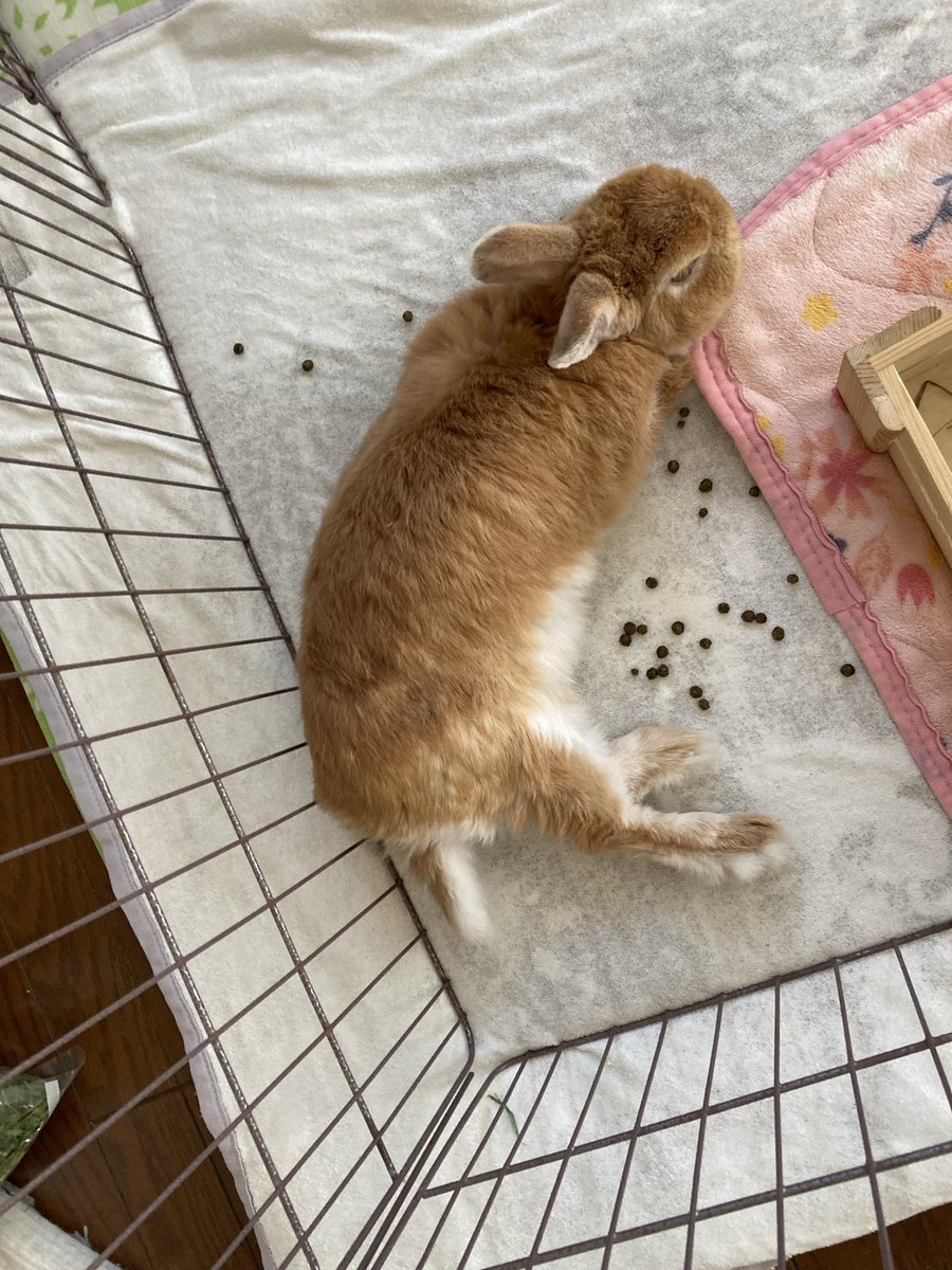 変わらない毎日😊🌸