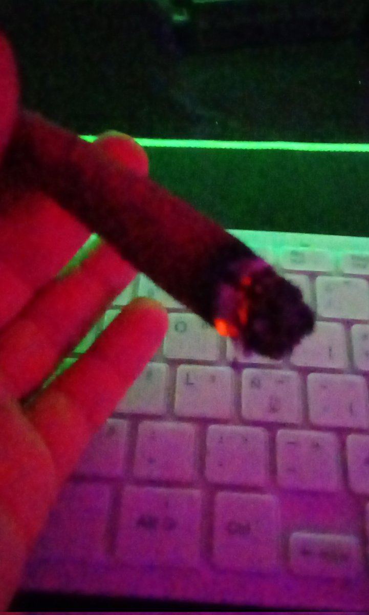 Ari Culona 🍑 tweet media