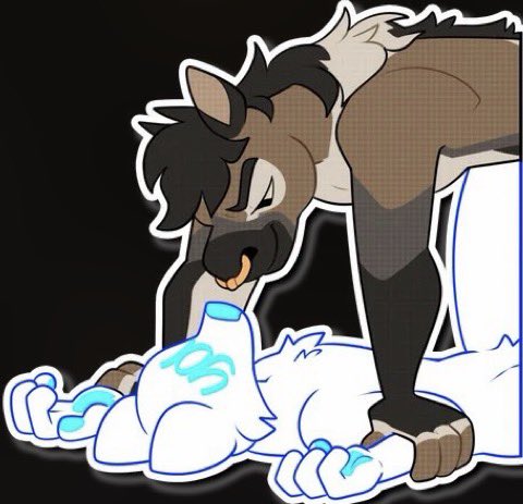 Kizma Husky tweet media