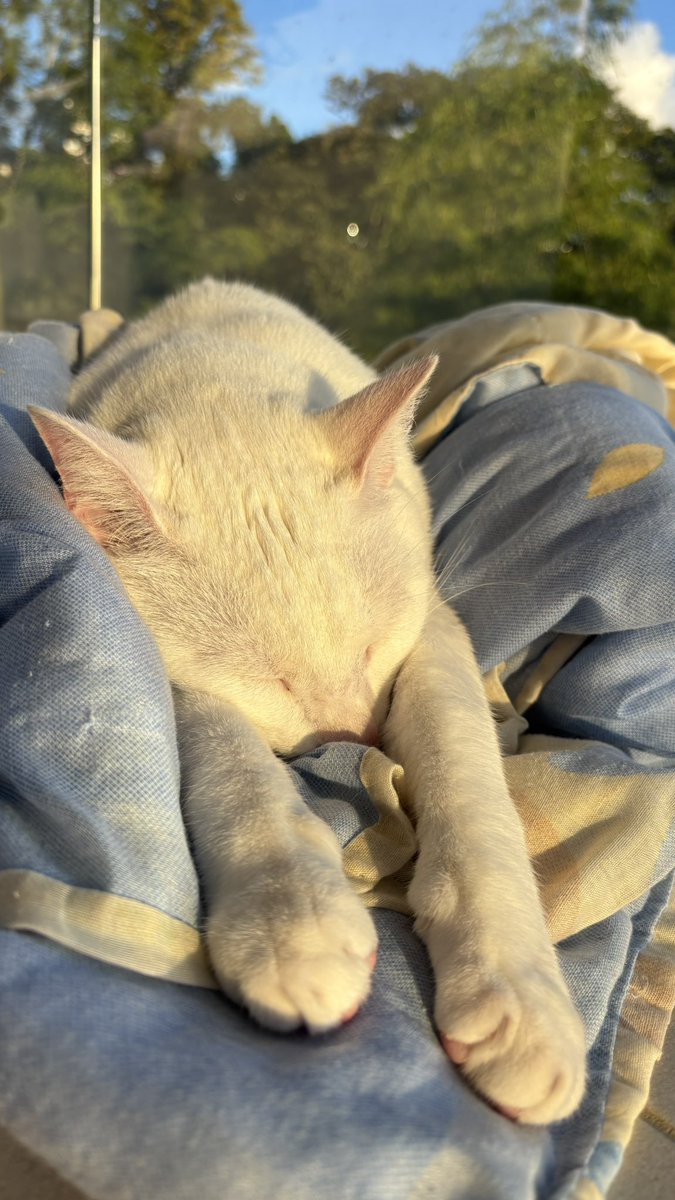 ＴＩＮＡ⁷ | is seeing bts tweet media