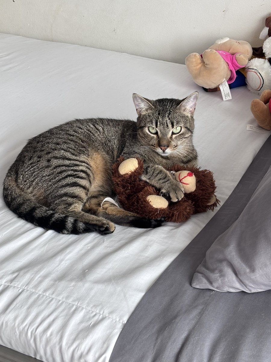 ＴＩＮＡ⁷ | is seeing bts tweet media