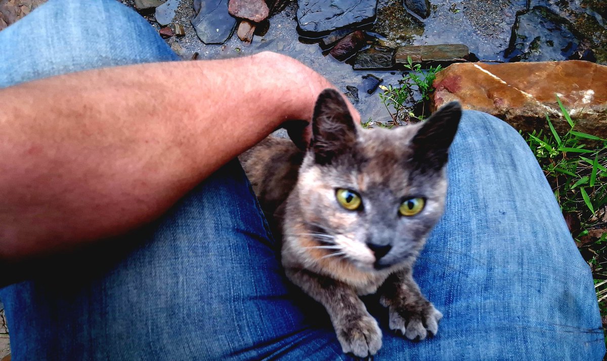 lije_letters tweet media