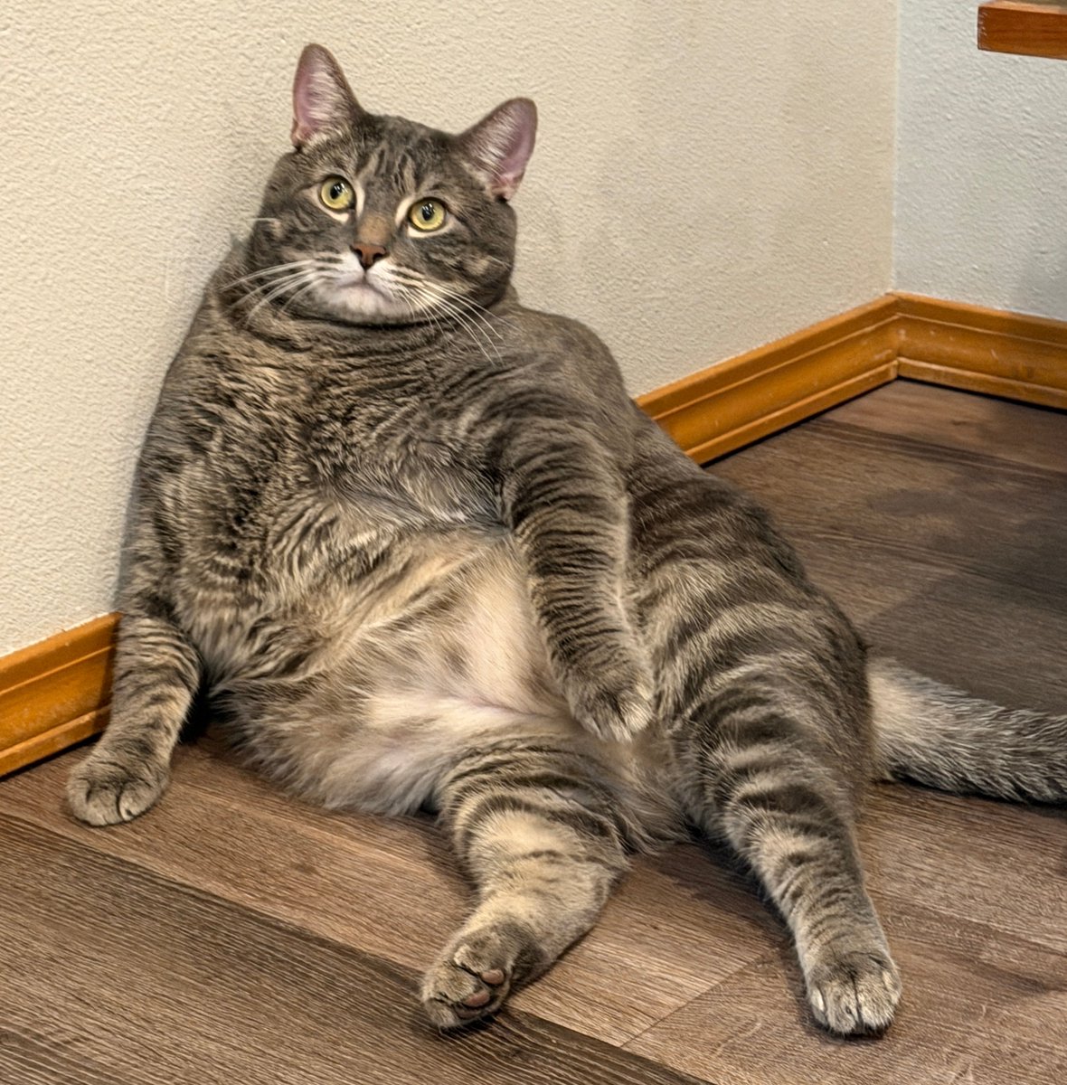 Shayne Swenson Icons ☦︎ tweet media