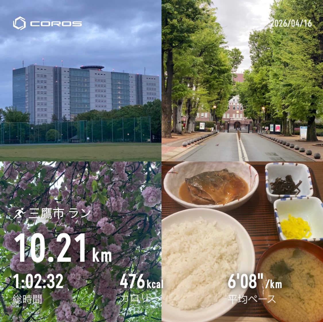 kobaping's tweet photo. 朝ラン。NTTの研究所や成蹊大学方面をJOG。雨上がりで花粉少なく助かる😅昨日のランチはサバ味噌定食で優勝しました🏅
#朝ラン https://t.co/oQHH2kbYa7