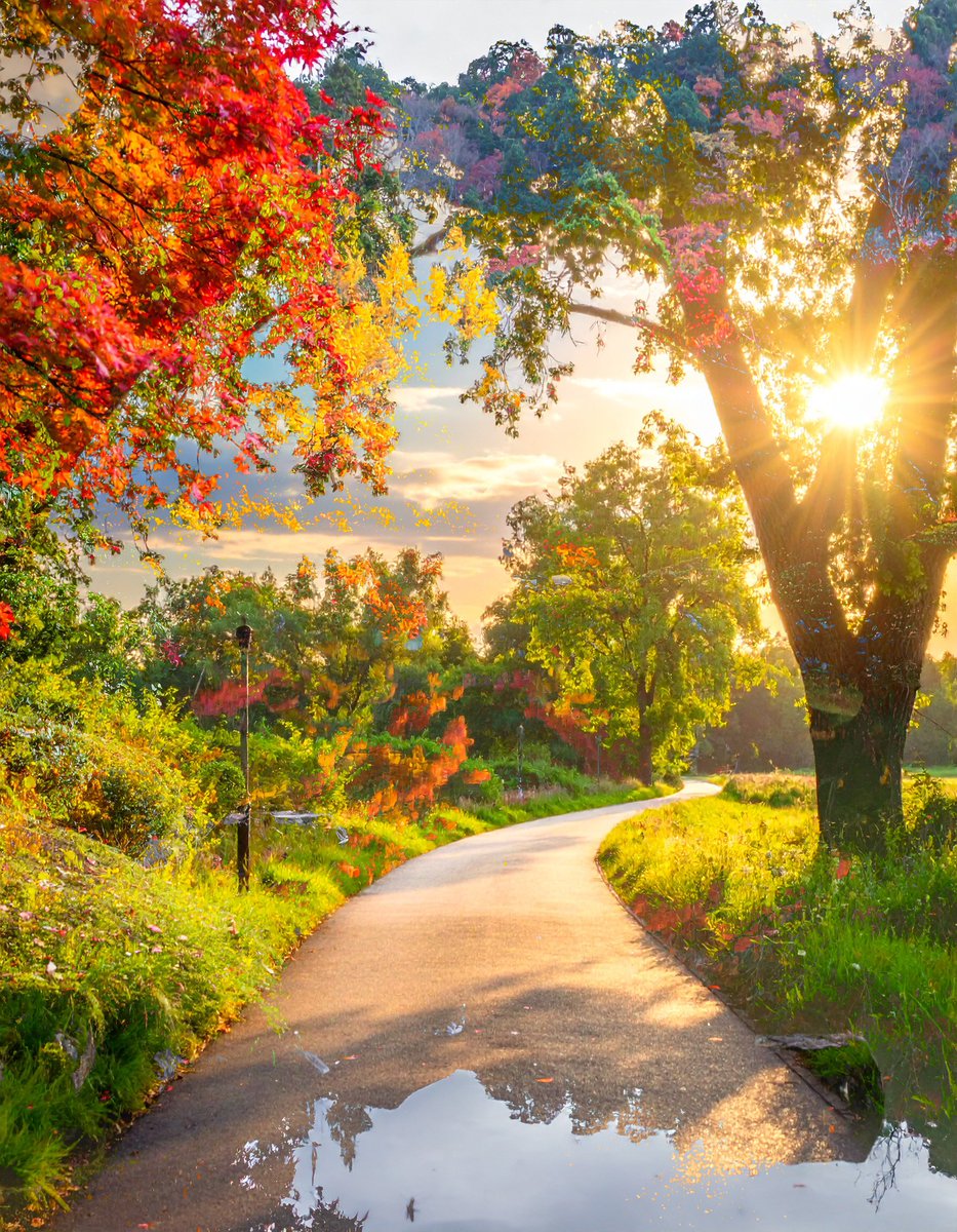 sanrotasu0216's tweet image. Shadows reflected in puddles　Bóng đổ phản chiếu trong vũng nước　#AI #PS #Adobe