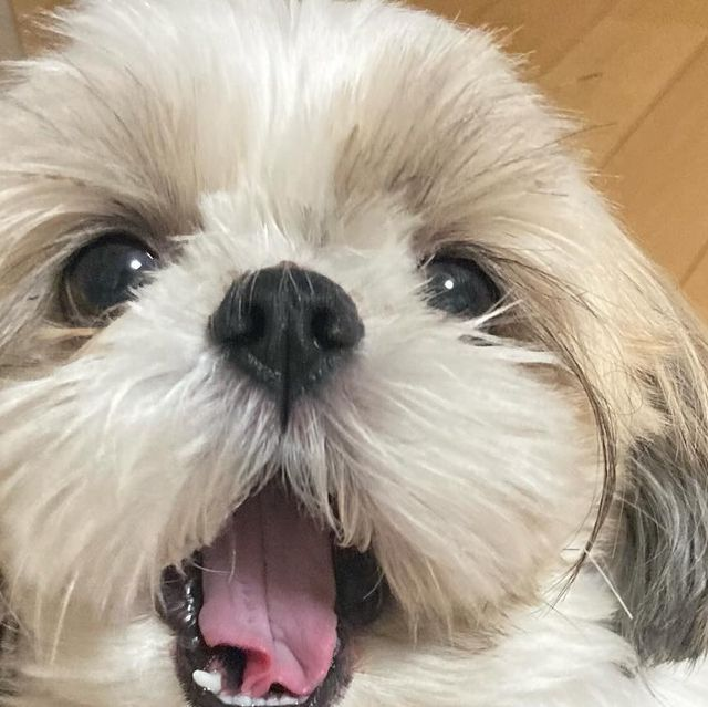 바비킴 tweet media