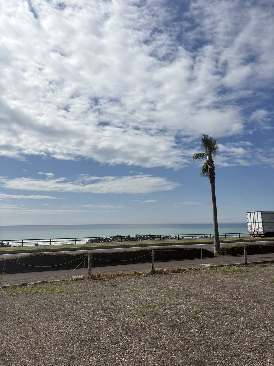 しゅう tweet media