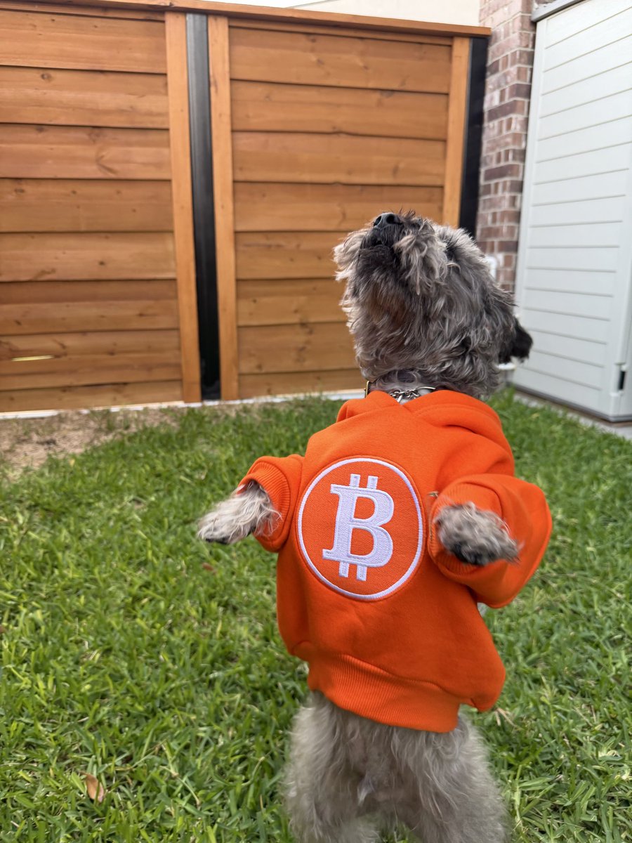 $DOGONTHEMOON tweet media