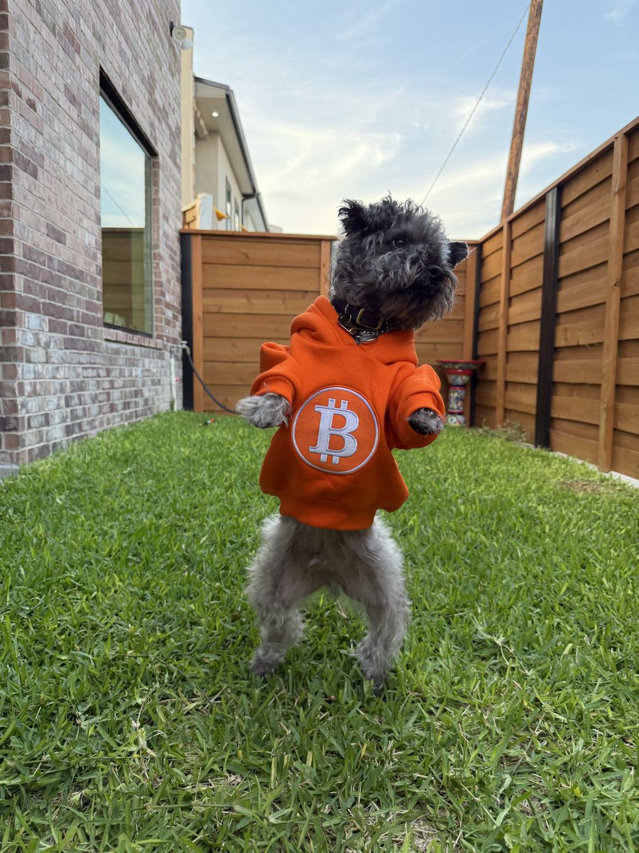 $DOGONTHEMOON tweet media