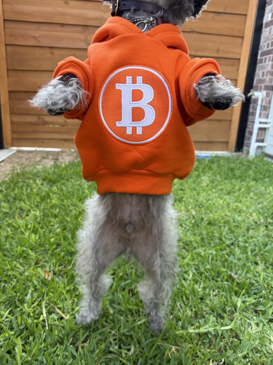 $DOGONTHEMOON tweet media