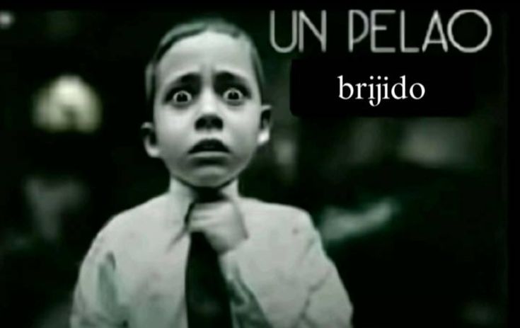 trinidad tweet media