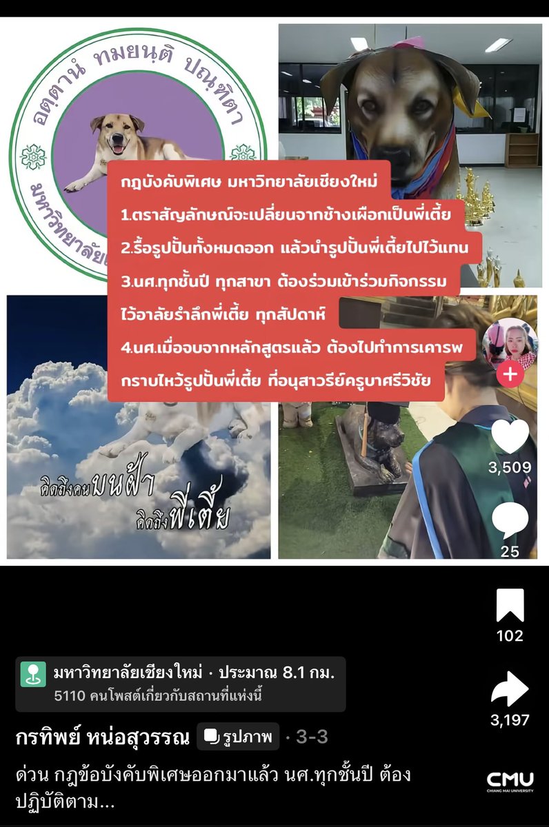 ป้าแกแอบอ้างหน้าตาเฉยเลยนะนี้ 😅 

#cmu #มช