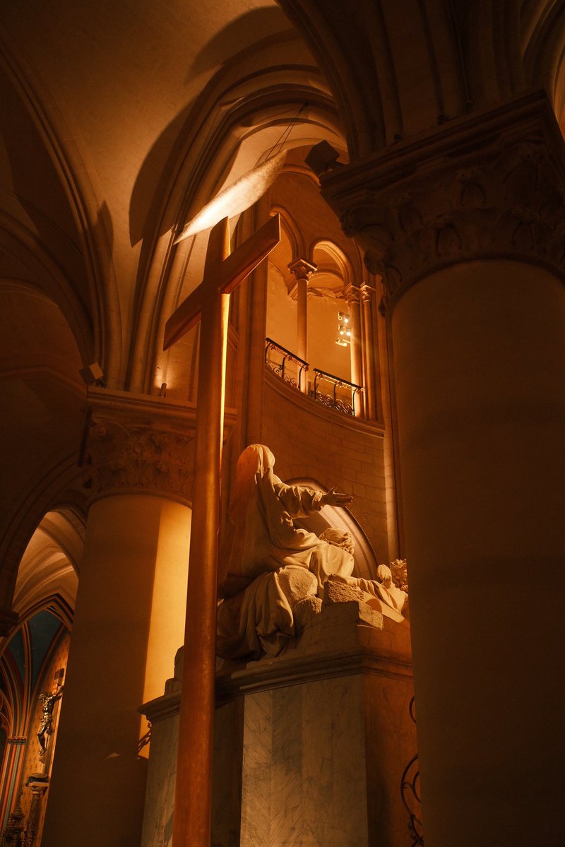 Dr. Ben Braddock tweet media