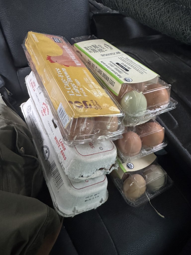 PNWGUERRILLA tweet media