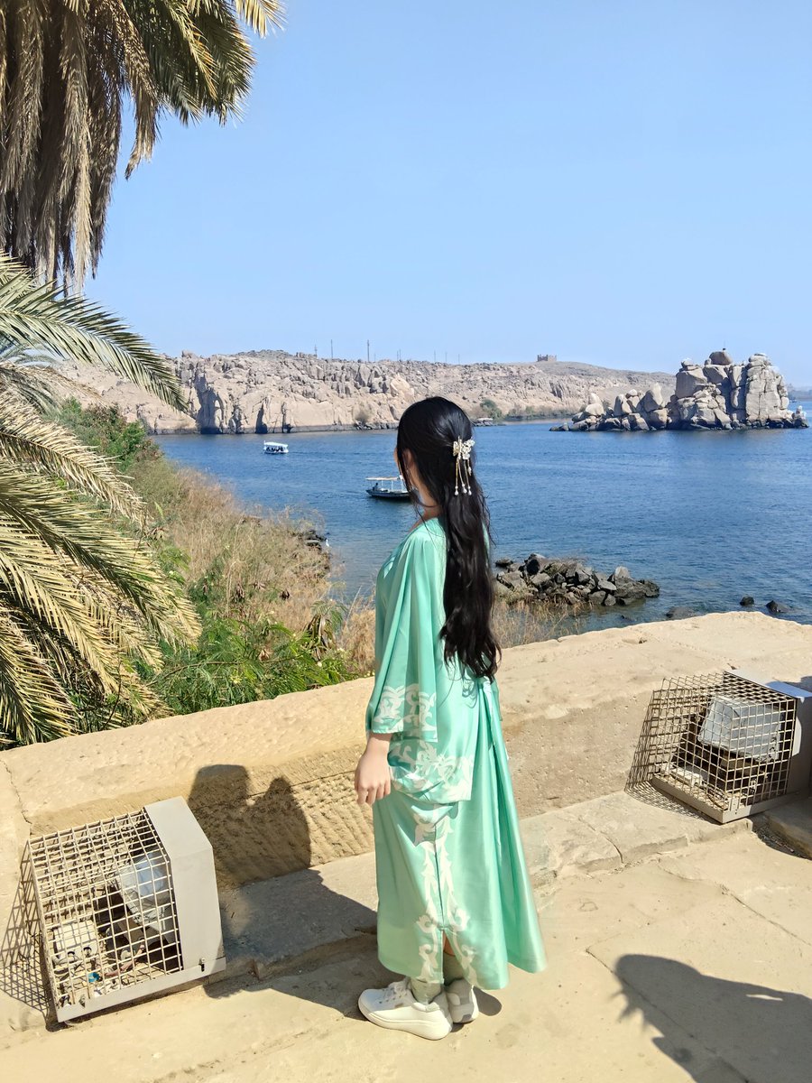 あやきち🌺 tweet media