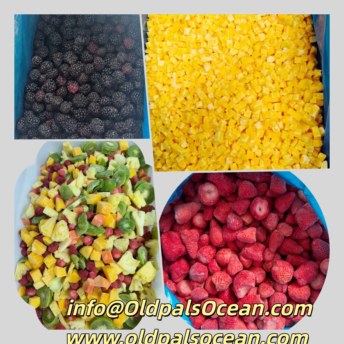 OldpalsL's tweet image. We supply premium frozen fruit — strawberries, apples, blueberries, blackberries, mango chunks, pomegranate, apricots, and custom mixed fruit.
✅ Tailor-made for your business needs.
email: info@OldpalsOcean.com
oldpalsocean.com
#FrozenFruit #frozenfood #foodexporter