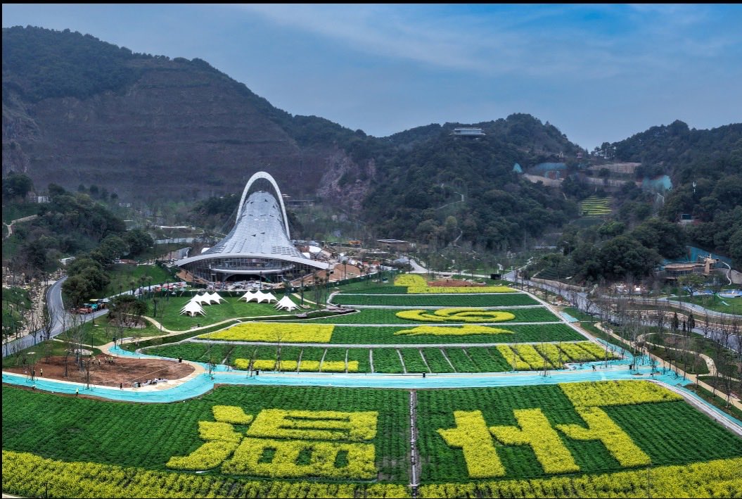 飘落的枫叶🇨🇳（💯💯💯💯互fo） tweet media