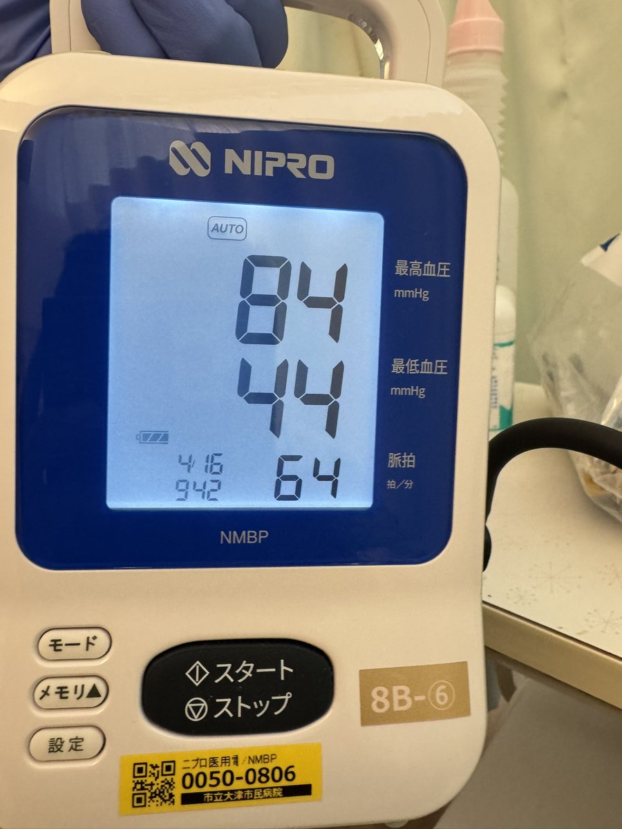 琵琶雨晒(ゴミ熊犬) tweet media