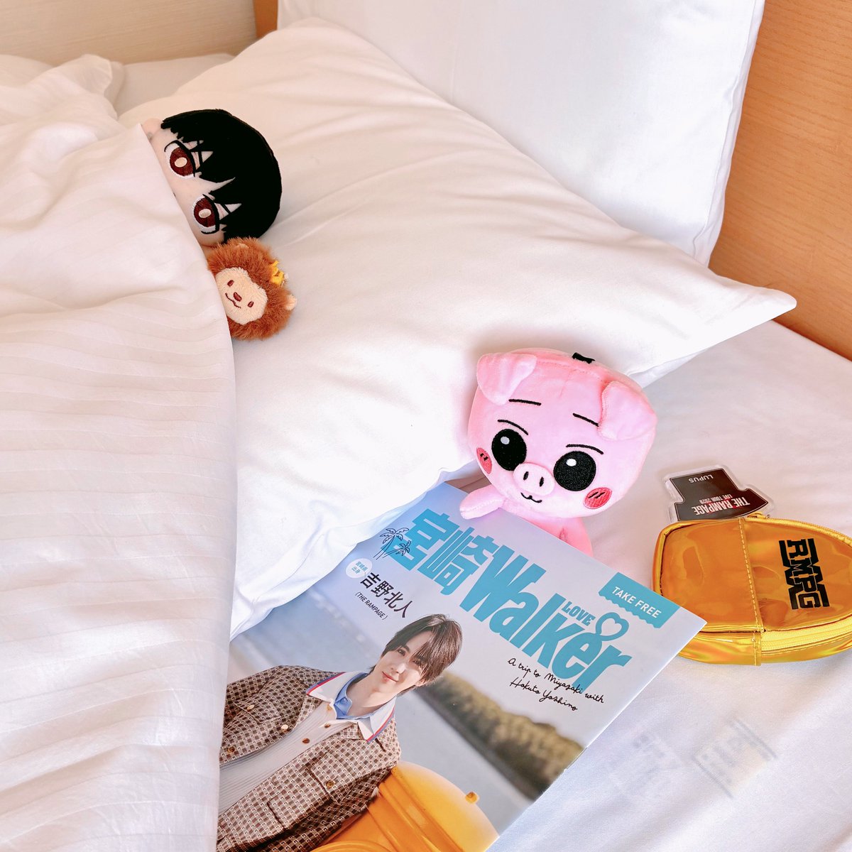 ルプぬい tweet media