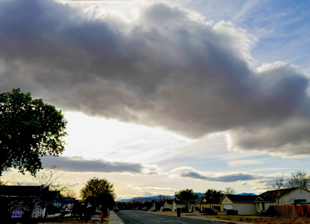 jonimarielew's tweet image. Very strange in the desert. #skies #desert #strange #clouds #trees #Nevada
