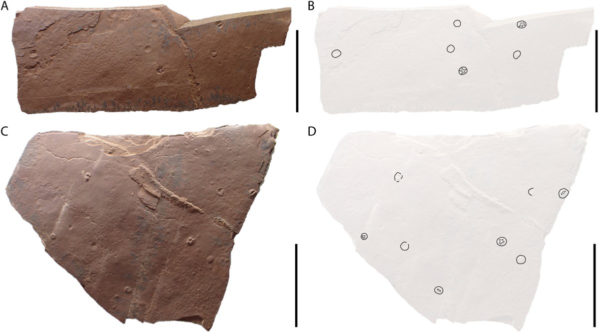 EDGE Central tweet media