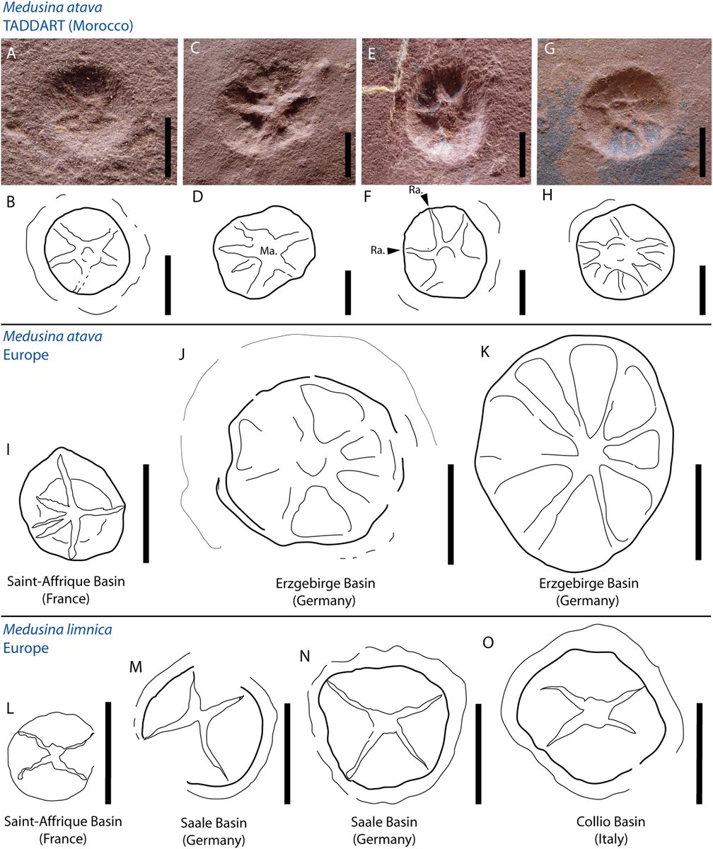EDGE Central tweet media