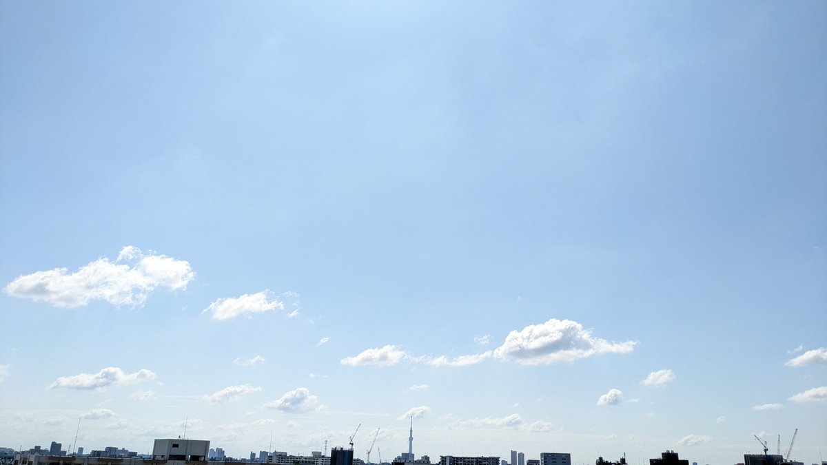 sin☆-(ゝω･　)ﾉ”🎲❤💕💫 tweet media