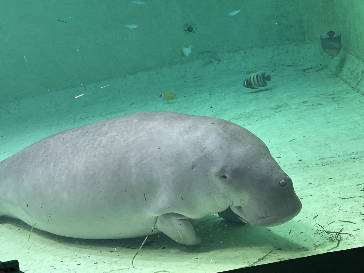 mi🦭🔰 tweet media