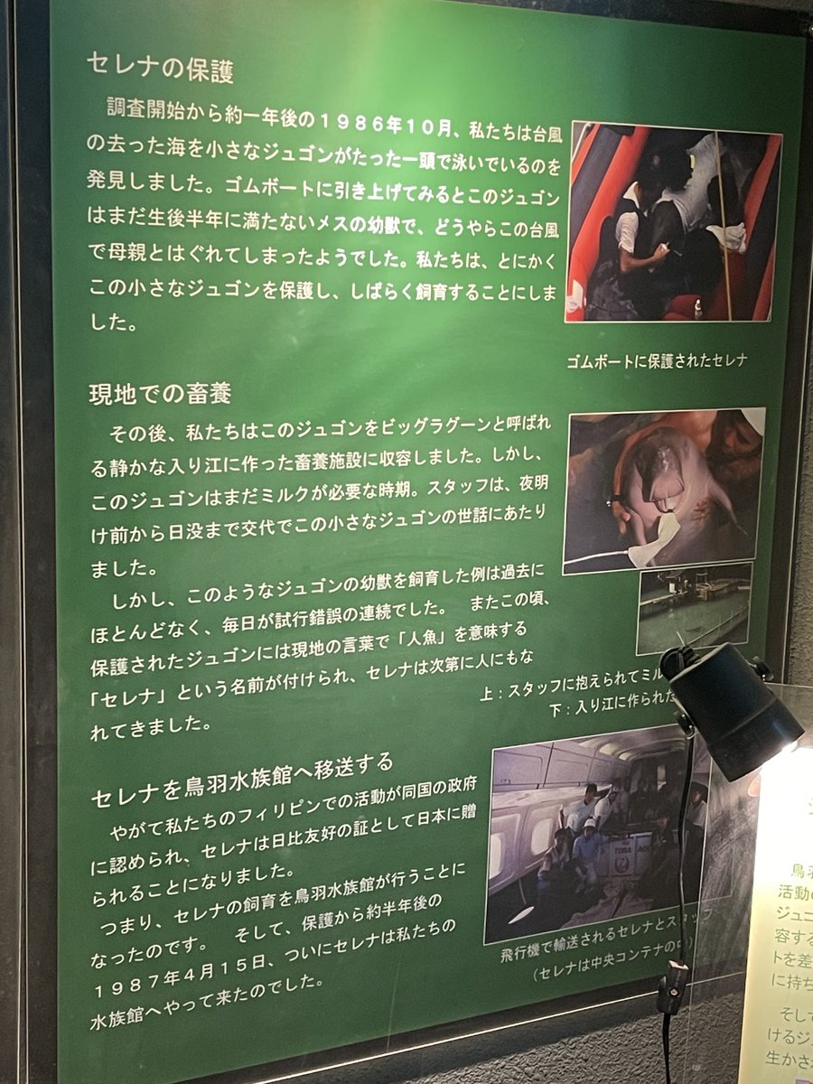 mi🦭🔰 tweet media