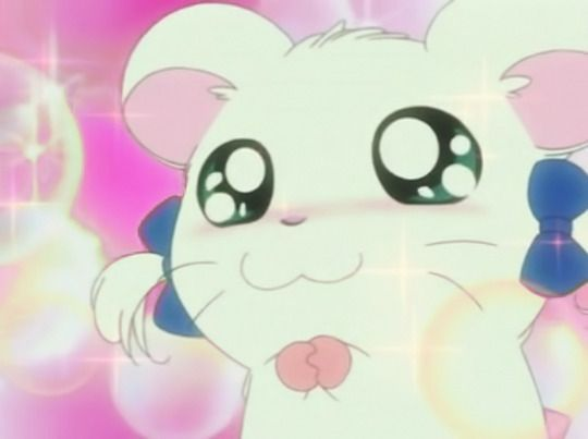 바비킴 tweet media