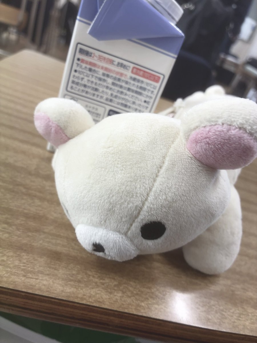 ここさん tweet media