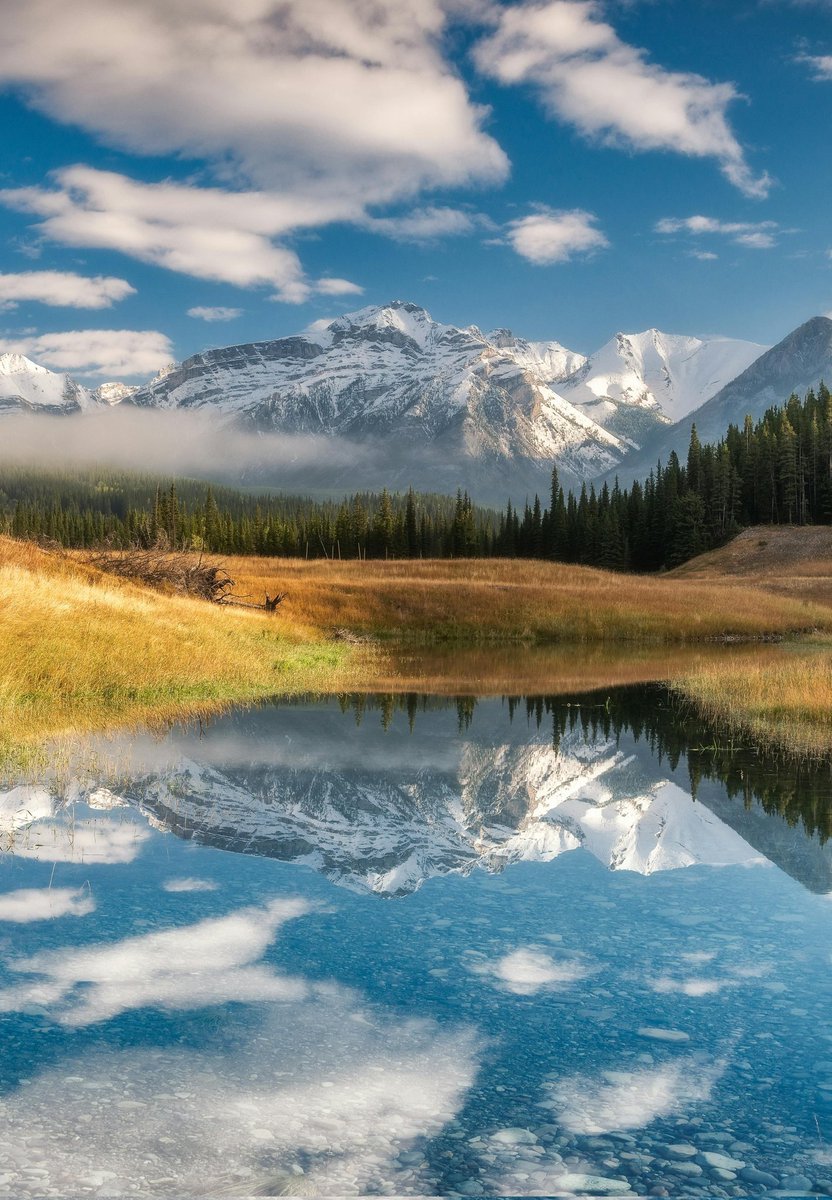 emily_anna1995's tweet image. Less noise. More nature.
#nature