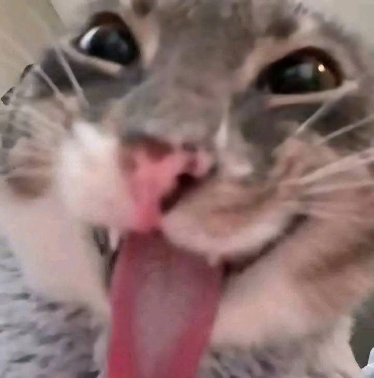 maya⁷ ﹒˚₊‧ VAI VER O BTS tweet media