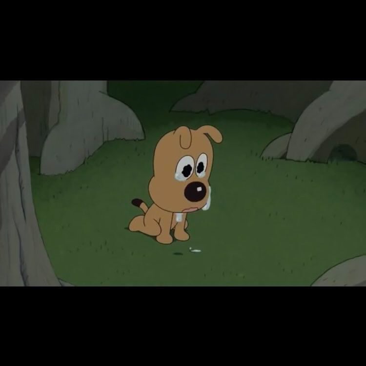 ネットで話題の動画 tweet media