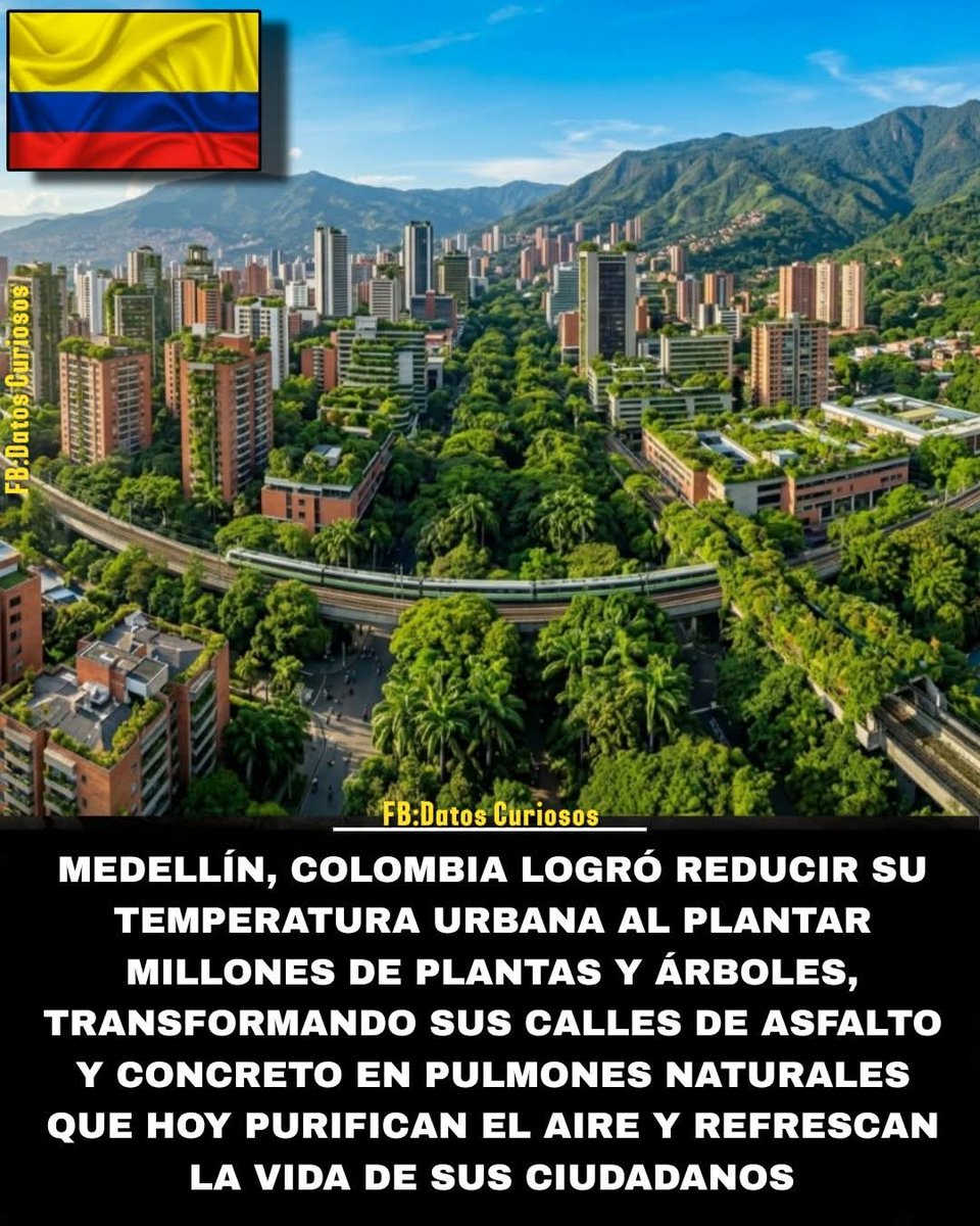 hilda mariana manso broce tweet media