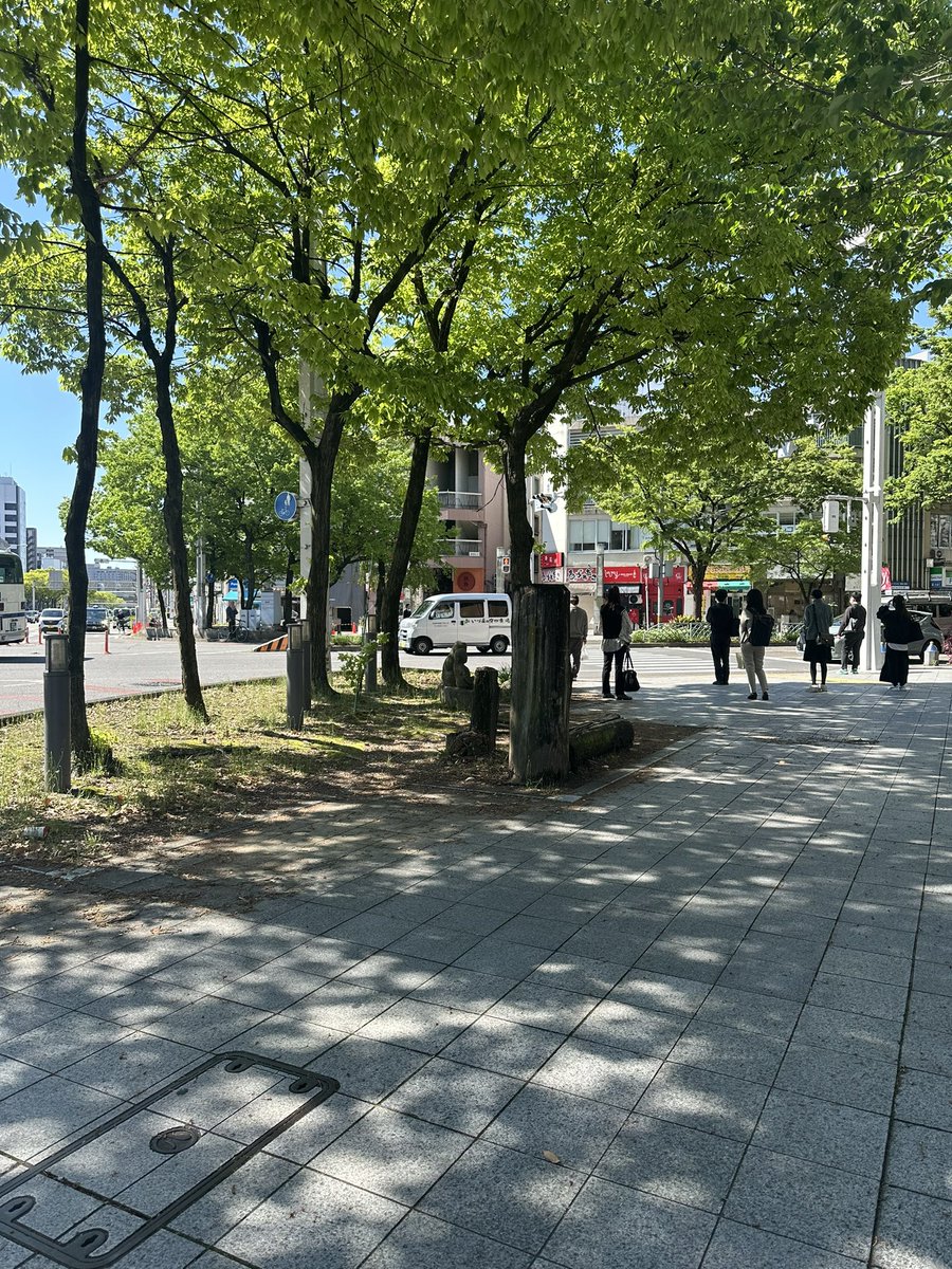 はるはな tweet media