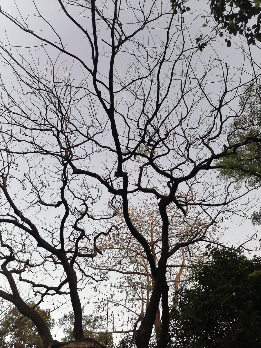 Archie Aruejo tweet media