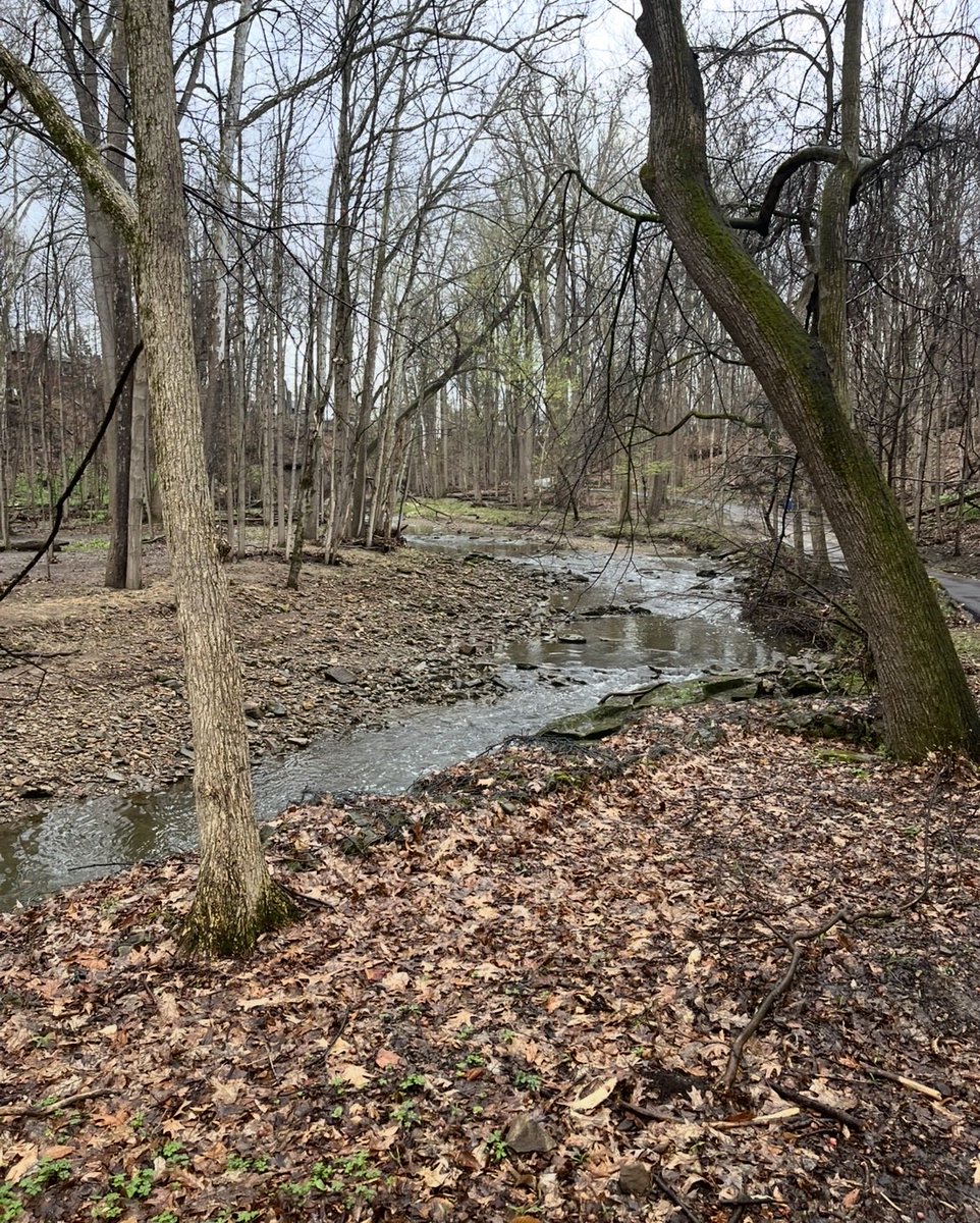 Melody Lyons tweet media