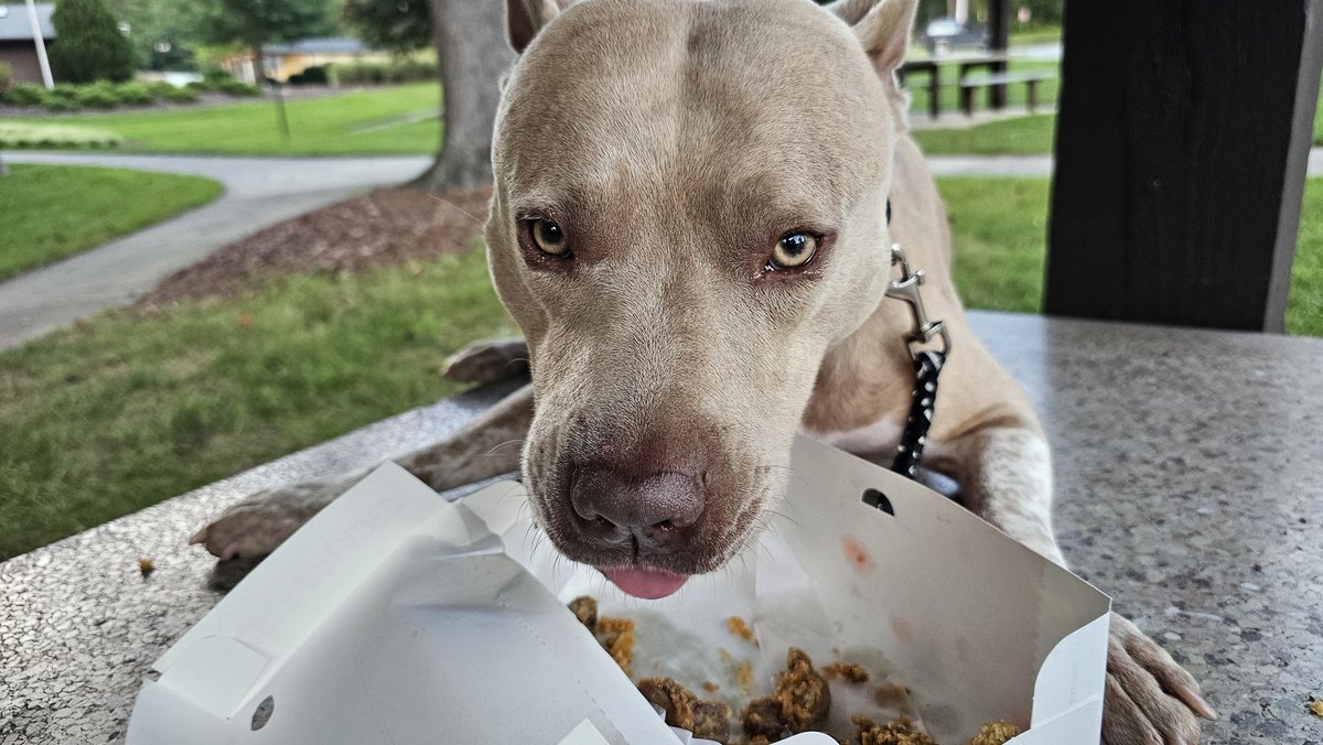 JustAnotherEarthling *humorous/satirical* tweet media