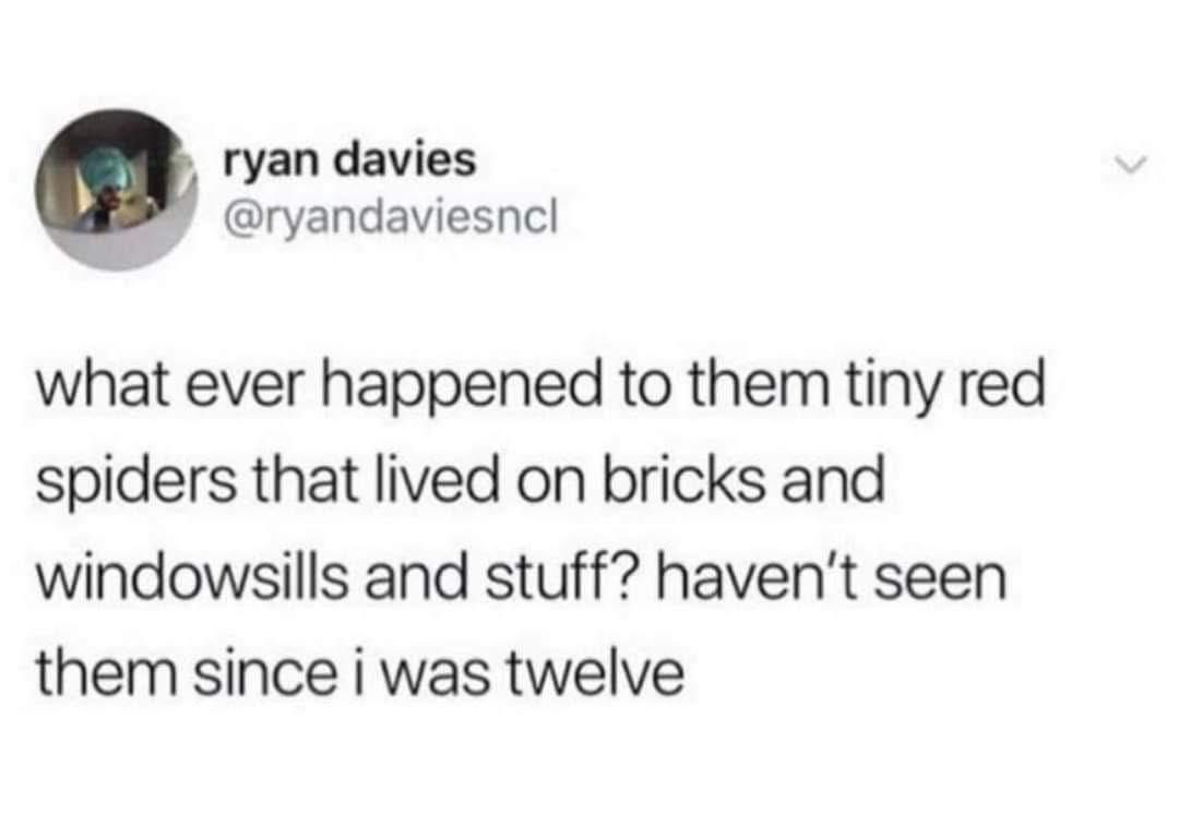 British Banter tweet media