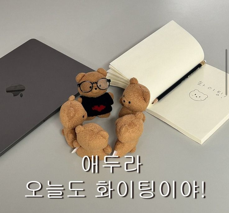 🎗마땅=갬이언니🐕🐕🐕 tweet media