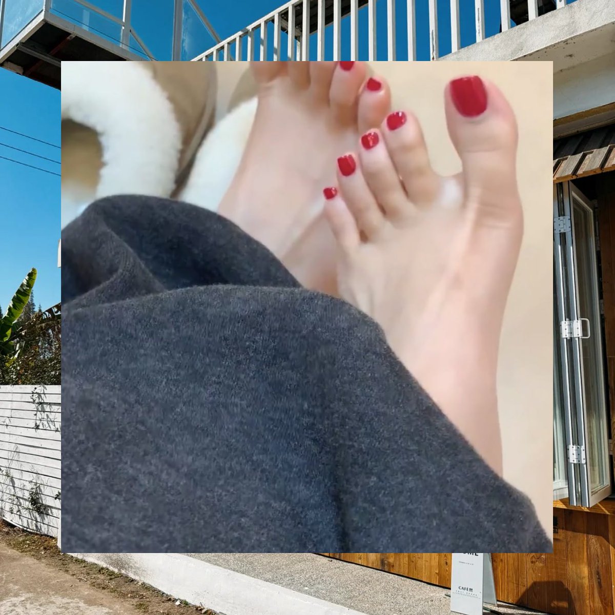 June Kwasniewski tweet media