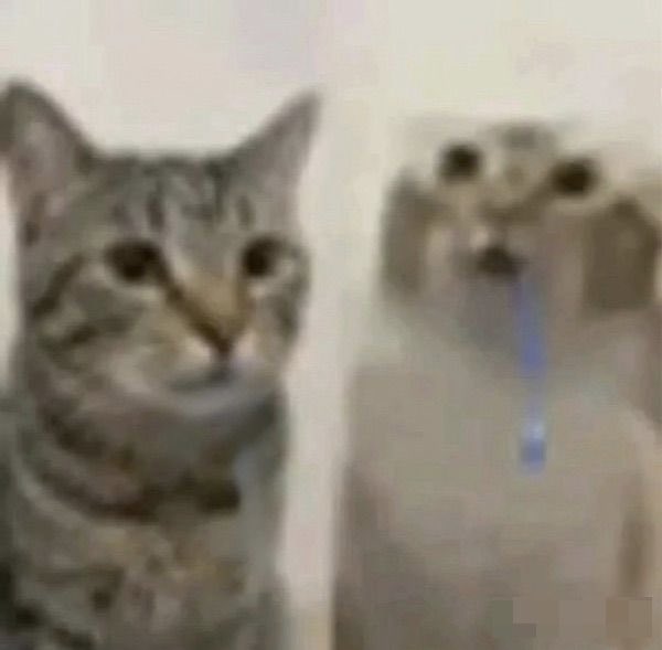 7L🐠Frutiger Aero Vtuber tweet media