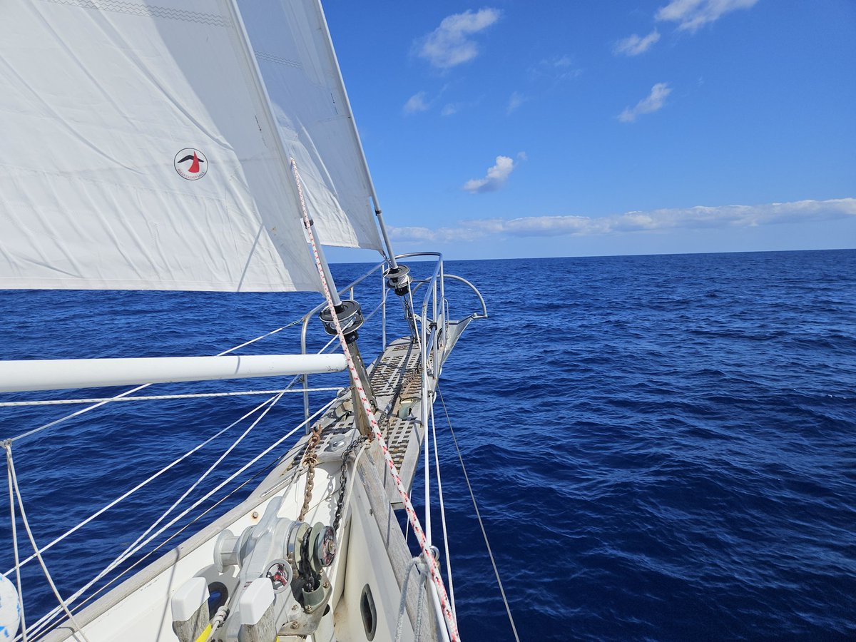 The Sailing Academy tweet media