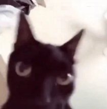 gabi ᥫ᭡ tweet media